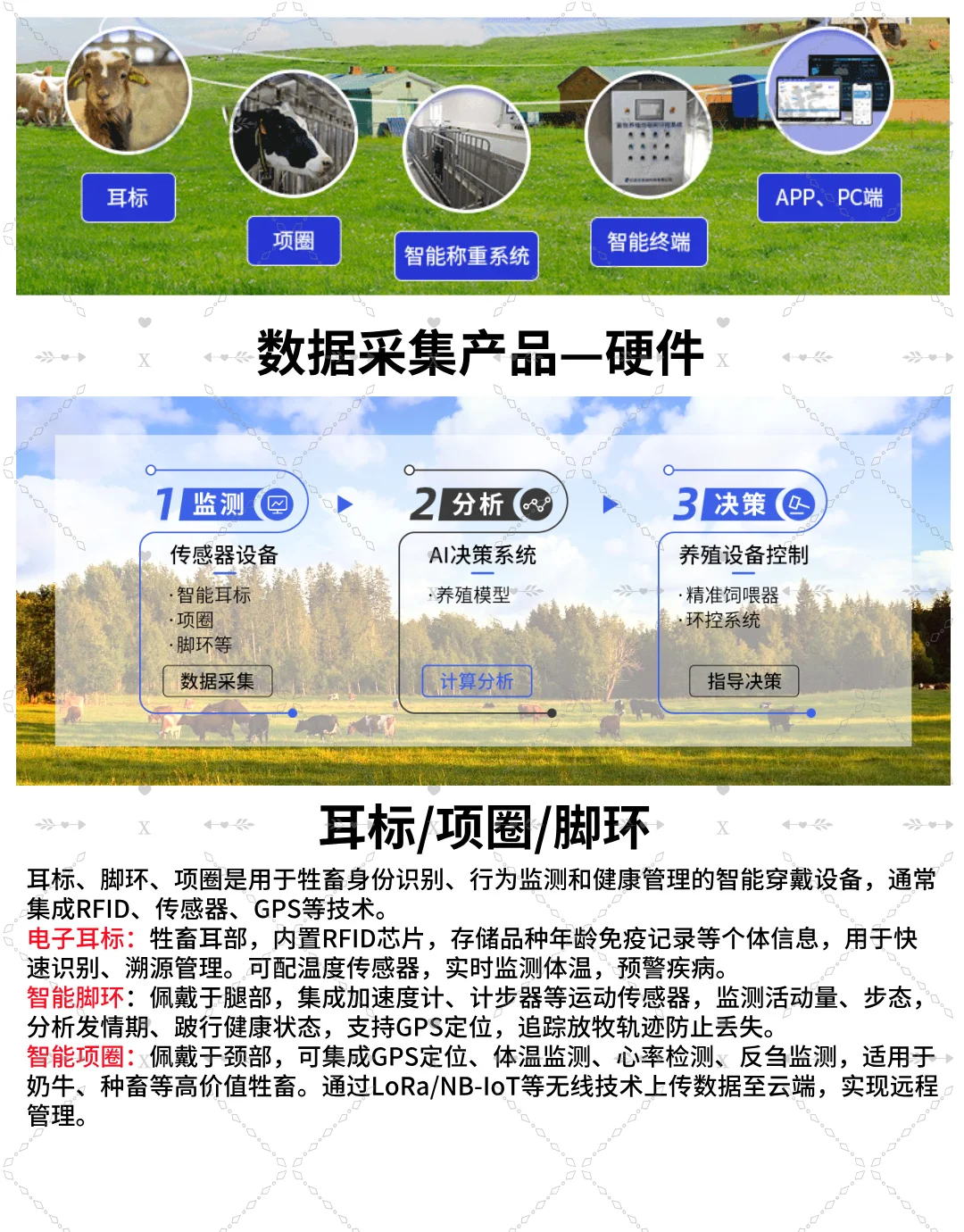 智慧畜牧养殖系统