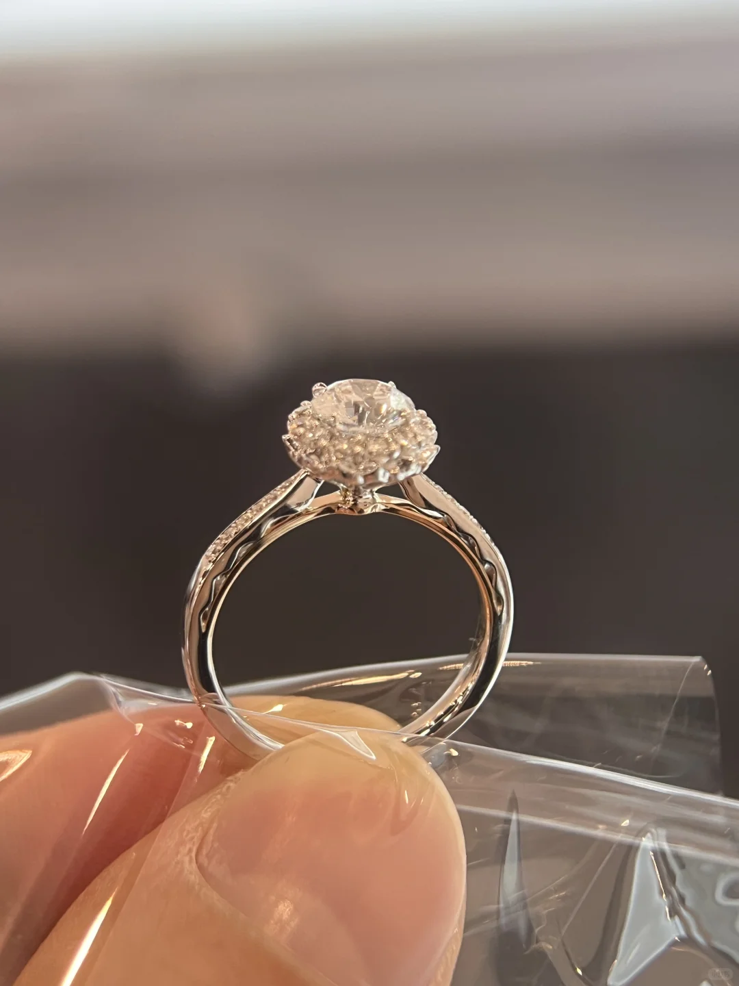 名字叫“华美”