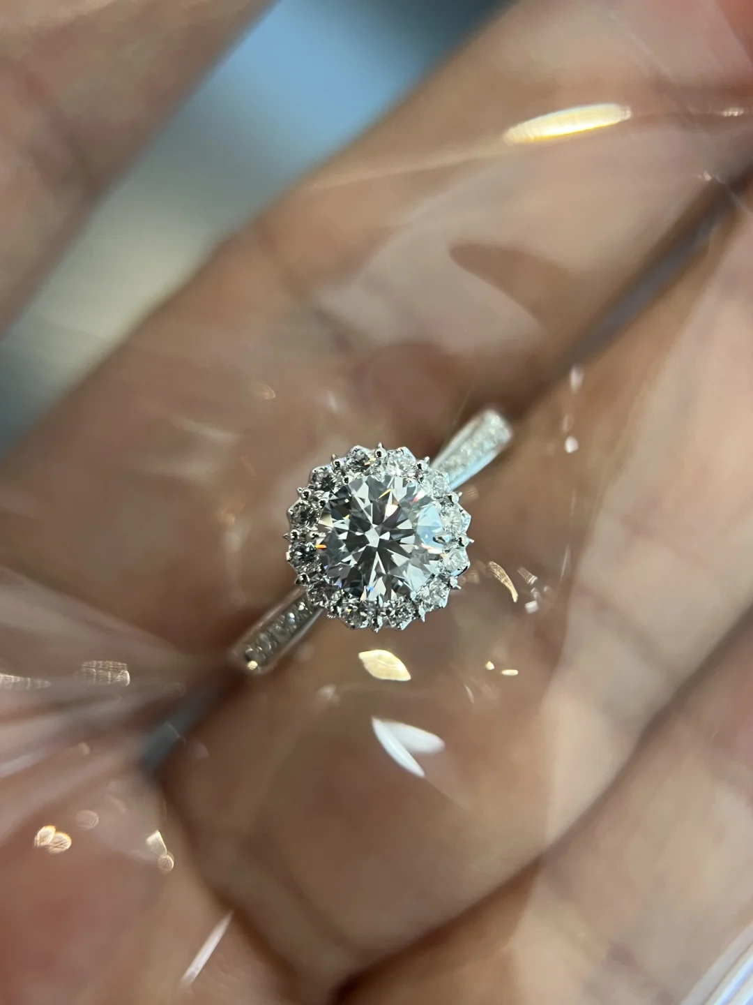 名字叫“华美”