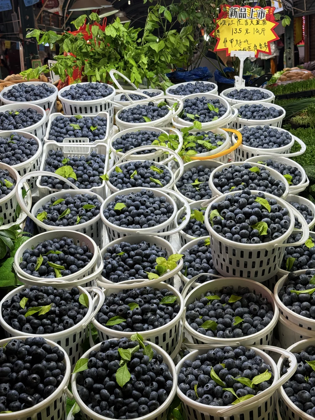 昆明早市太好逛了