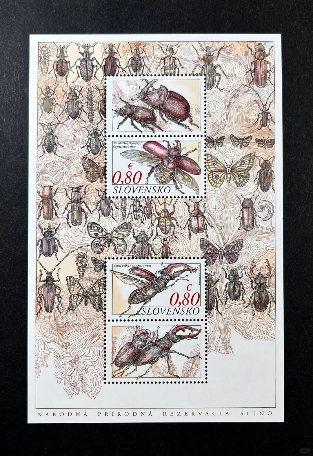 平板凹版印刷术的昆虫邮票，真的惊艳