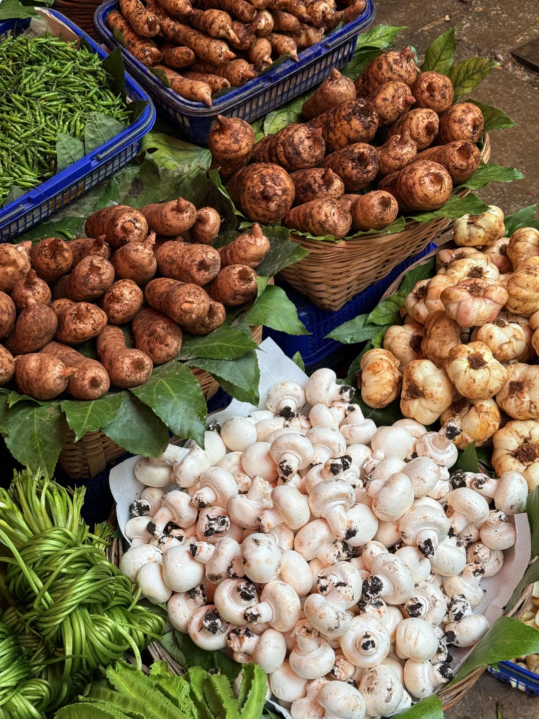 昆明早市太好逛了