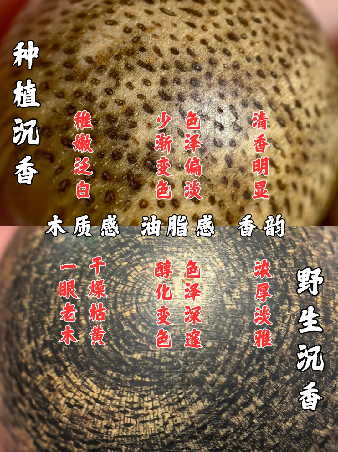 如何快速了解种植沉香和野生沉香的区别