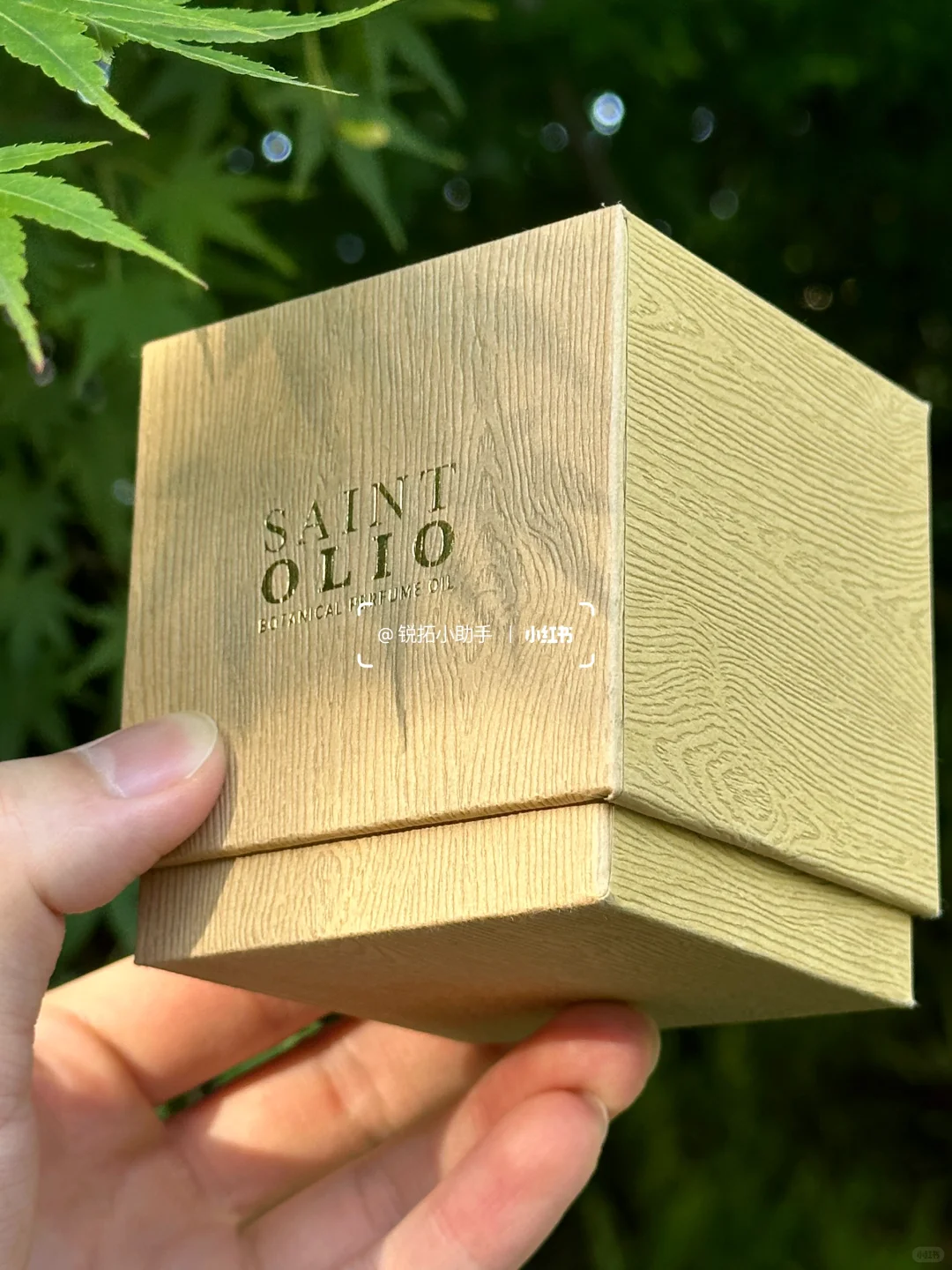 木纹肌理探寻自然奥秘