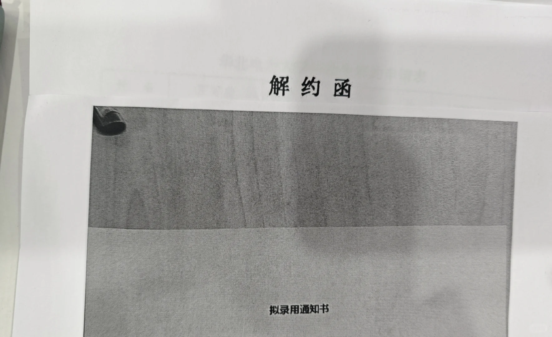 泰开将永远成为我的白月光