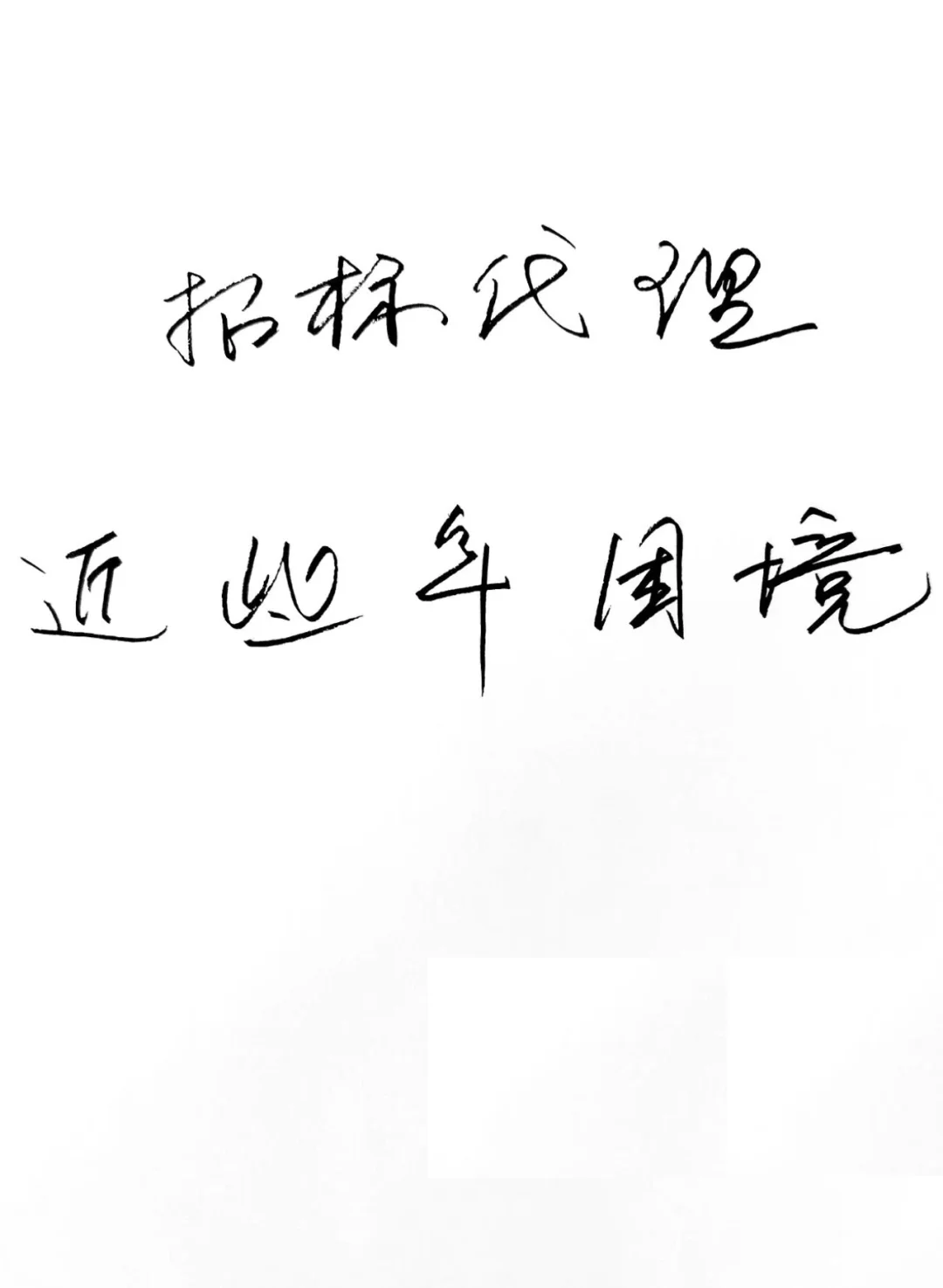 招标代理近些年困境，供大家参考排雷