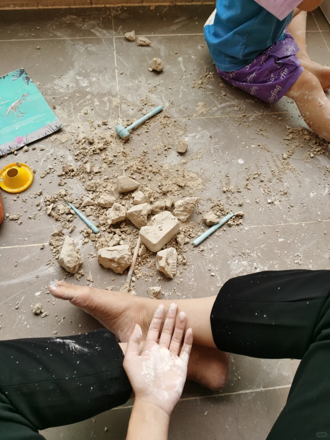 网红恐龙考古玩具买不买?请看这里!