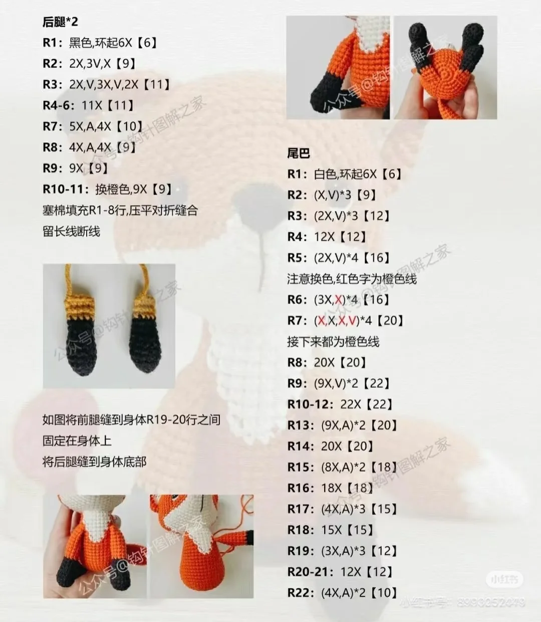 小王子狐狸和他的玫瑰花?（附图解）