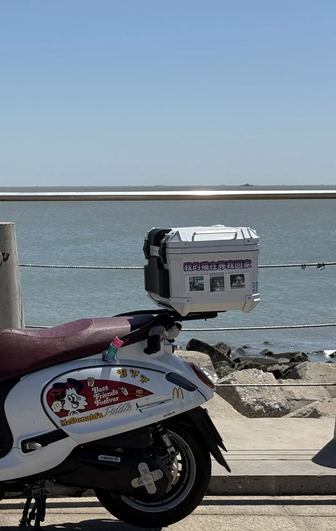 劝大家别买飞度，路上扔你好几次