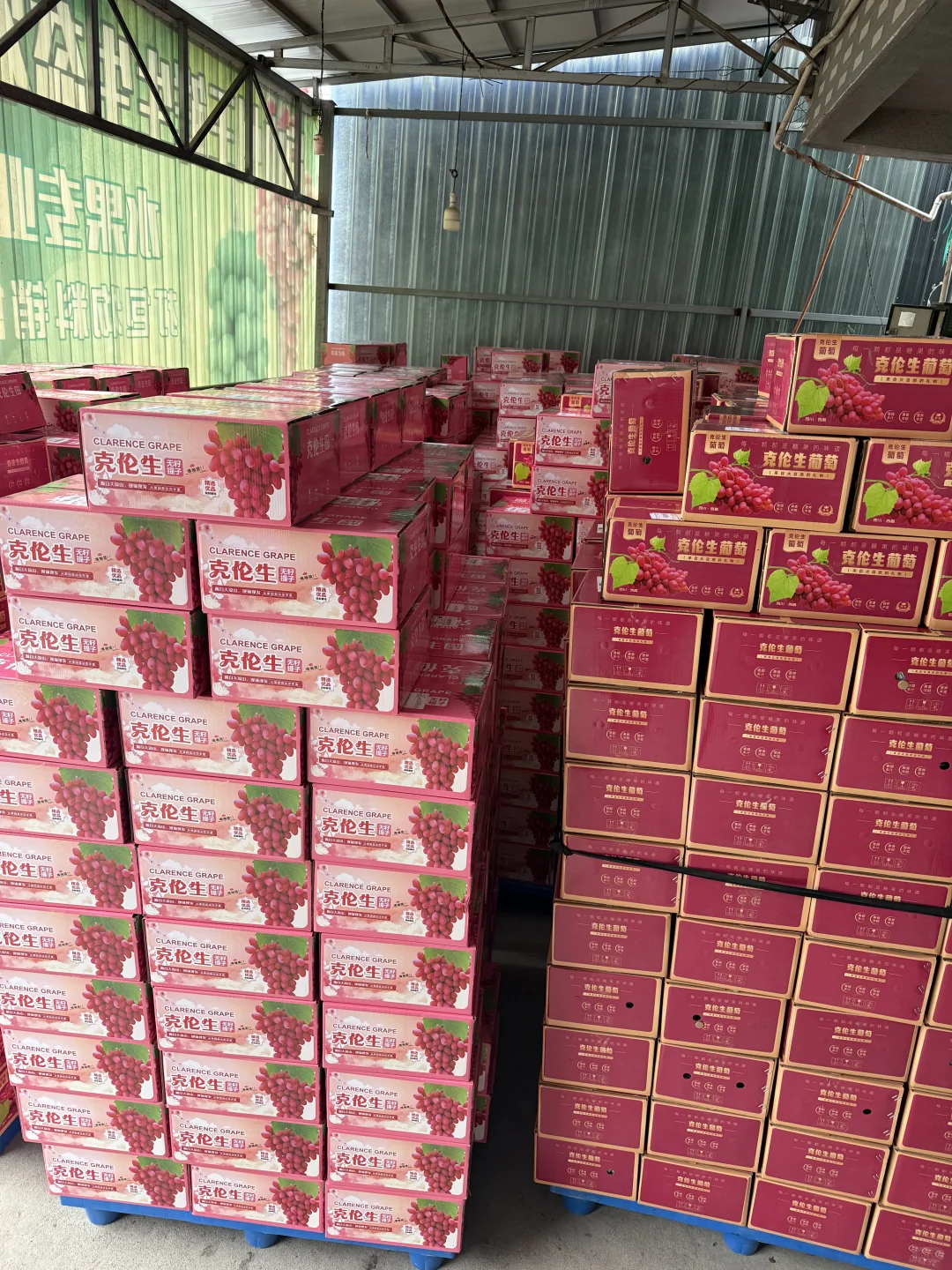 对不起了同行的朋友我家种的太多了