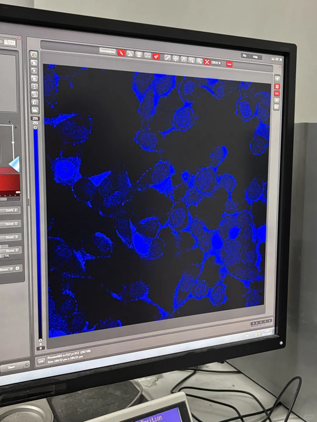 为什么我的DAPI染不上核