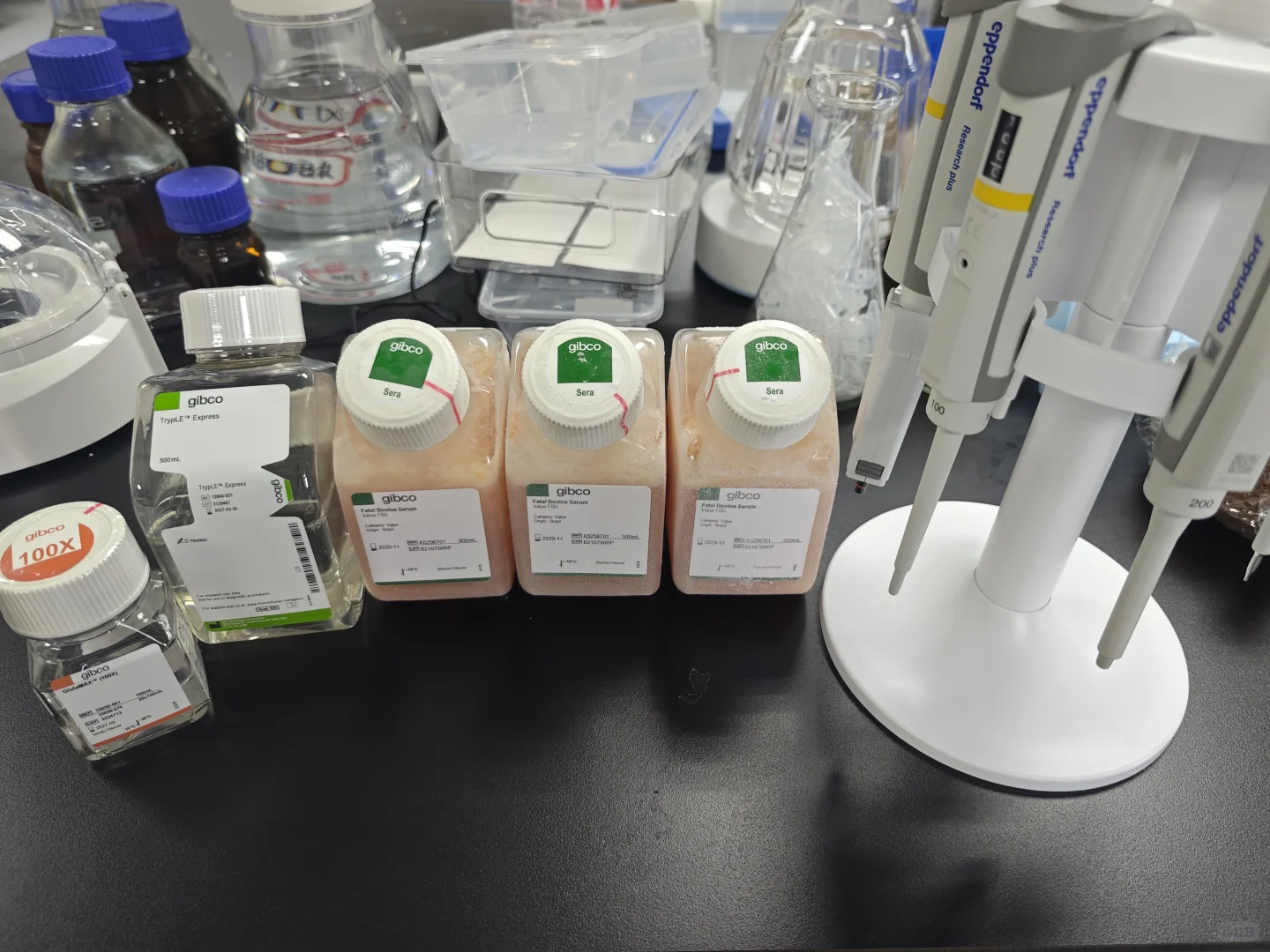 这个本科生自费建的小实验室属于什么水平