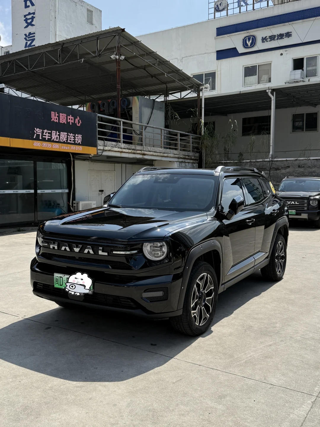 终于给我的大狗P找到了合适的行车记录仪❗️