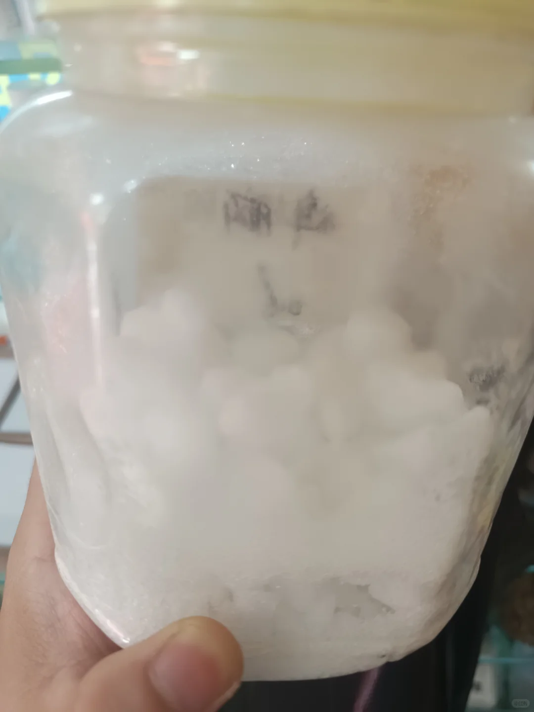 每日科普药?——樟脑