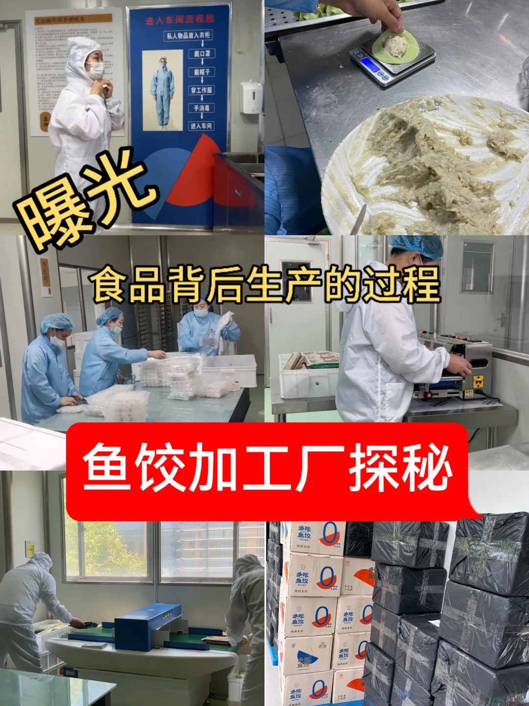 食品加工厂流程大揭秘?