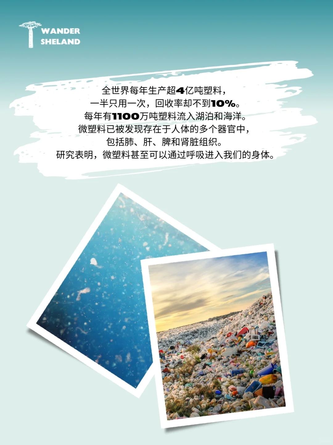 世界环境日｜解答关于塑料污染的十大问题?