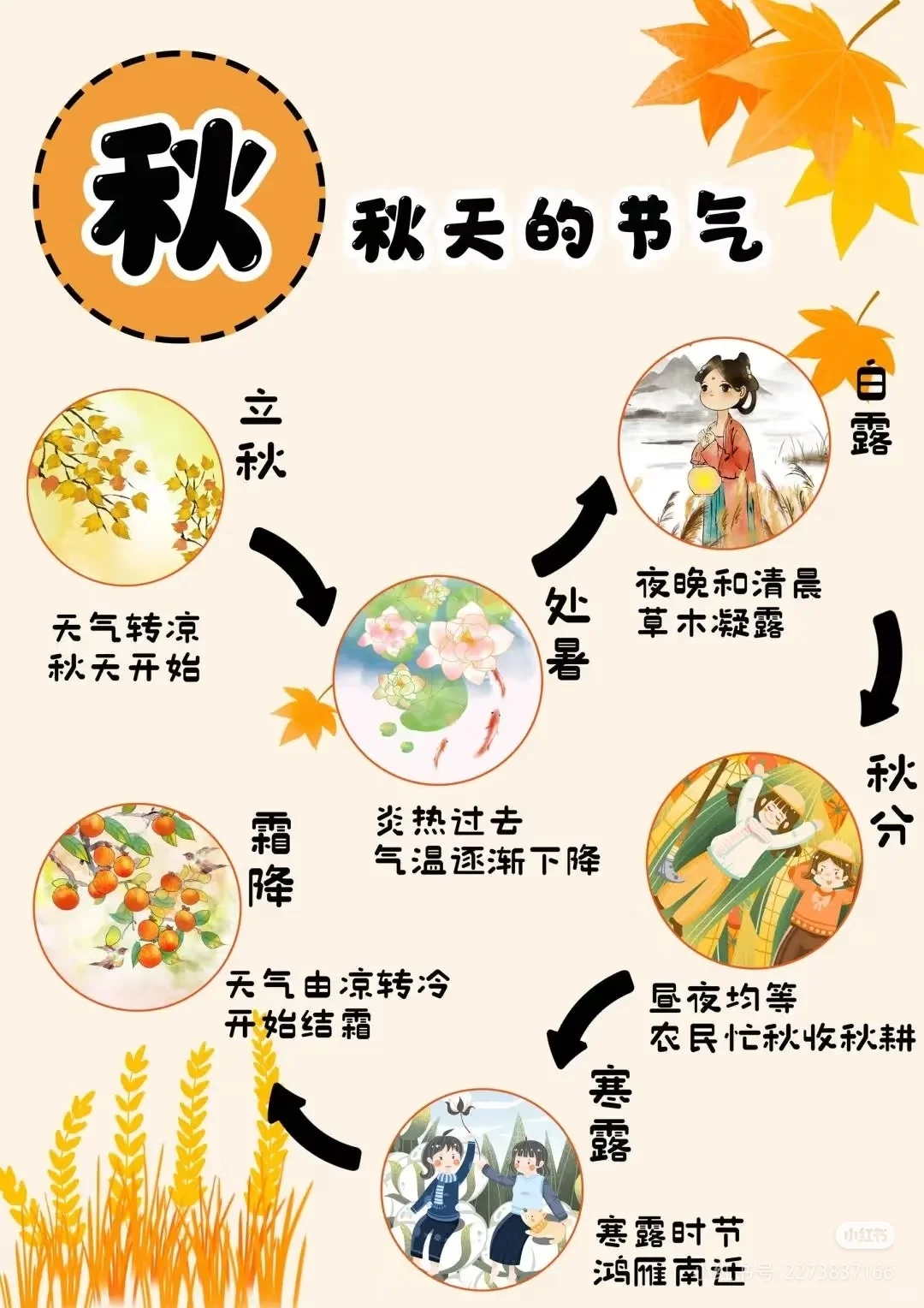 幼儿园秋天主题环创,? 打印,太美啦?