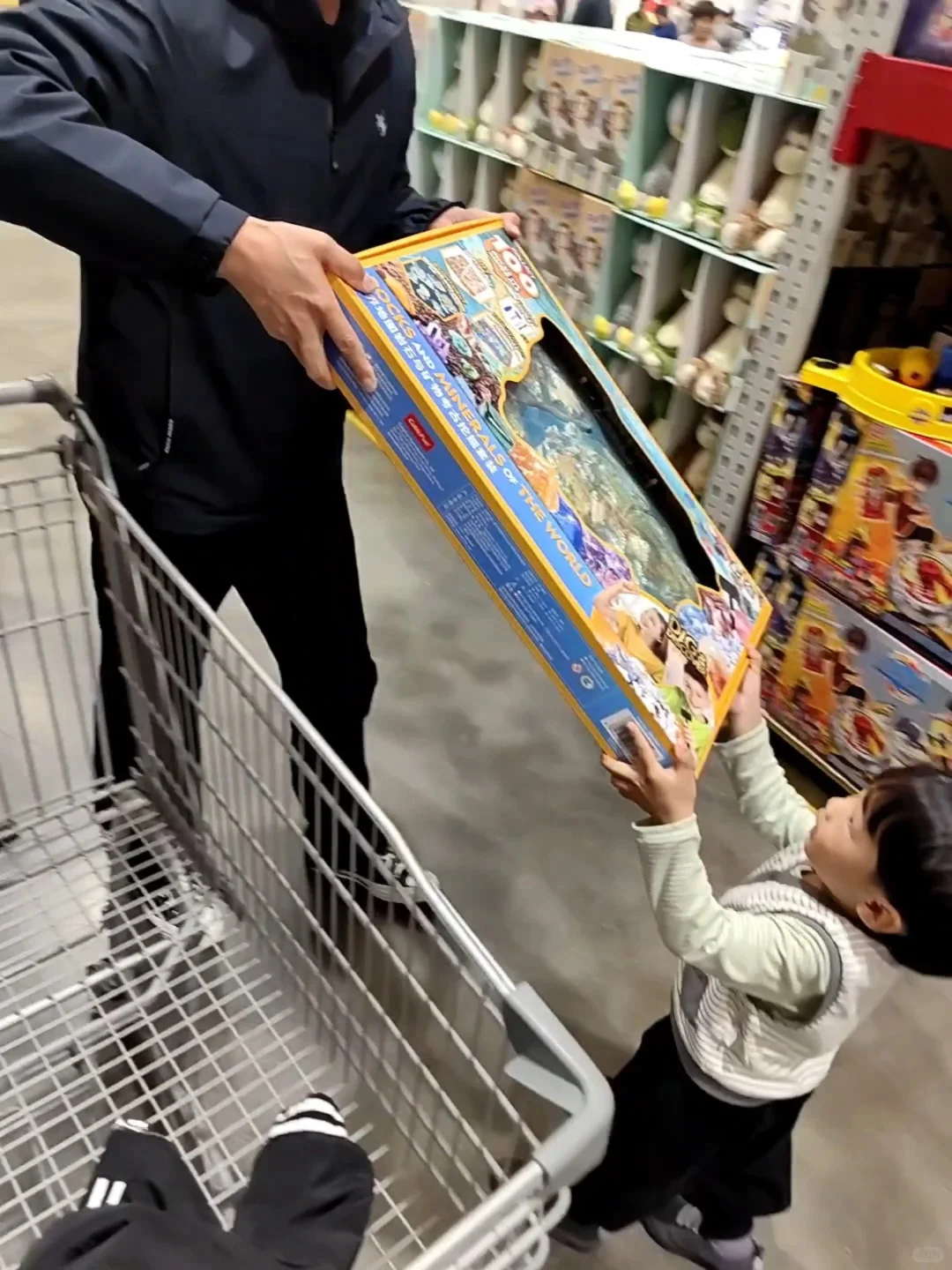 world天！一下拥有了‘全世界’的石头