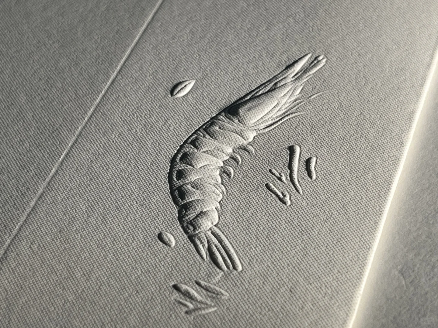 立体虾纹，纹在白纸上，太绝了！