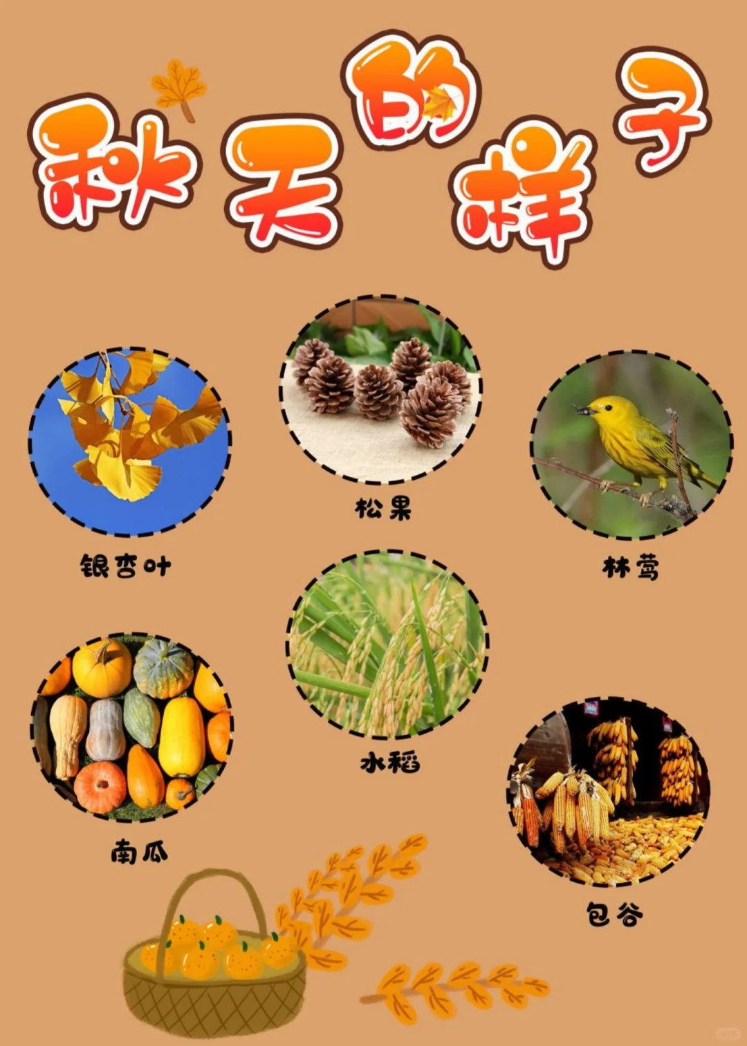 幼儿园秋天主题环创,? 打印,太美啦?