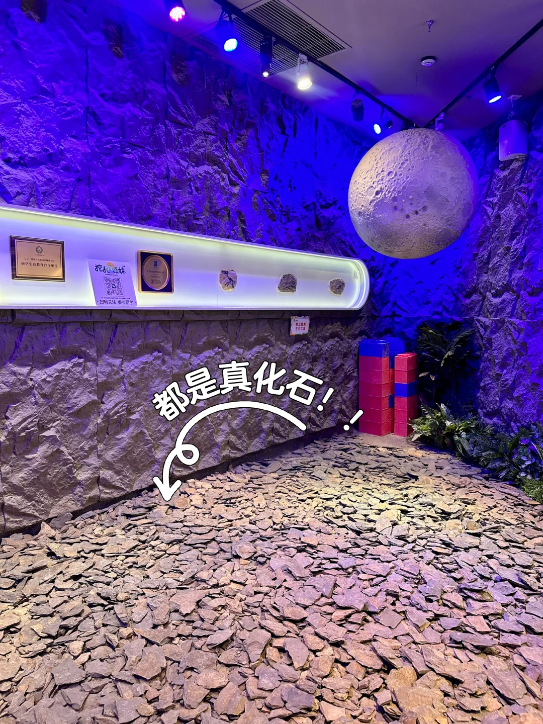 挖挖森林➡️ #专注力培养TOP1