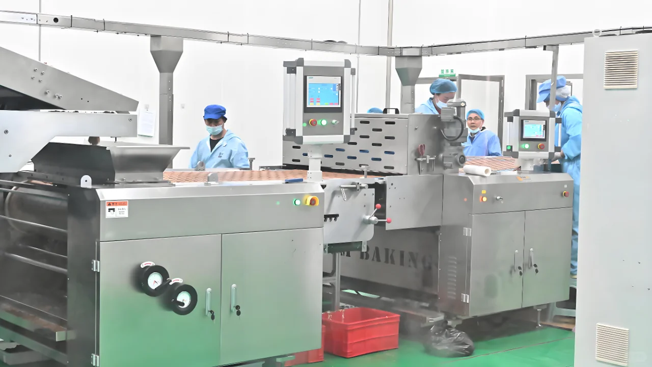 香菇加工设备,为乡村振兴注入 “鲜” 活力