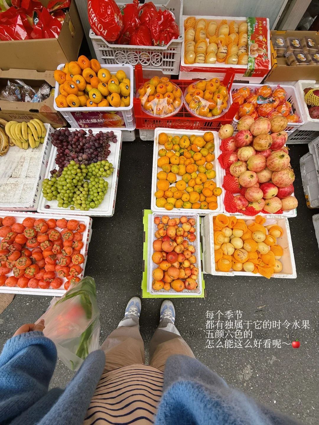 秋天果实累累的生命力！