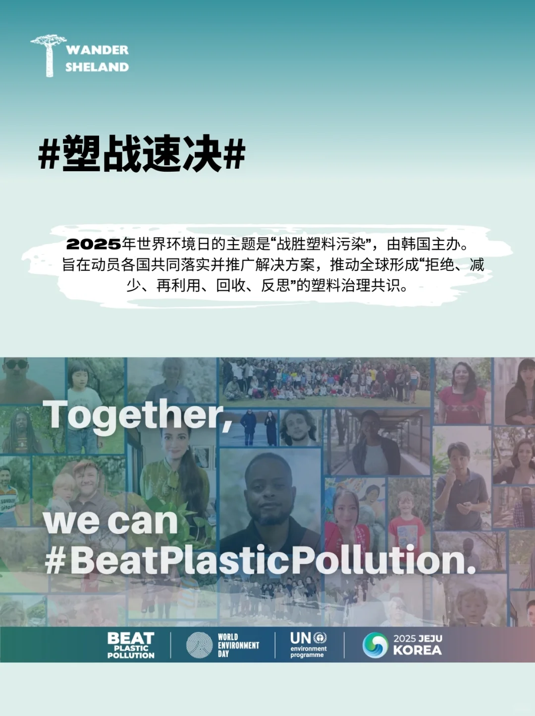 世界环境日｜解答关于塑料污染的十大问题?