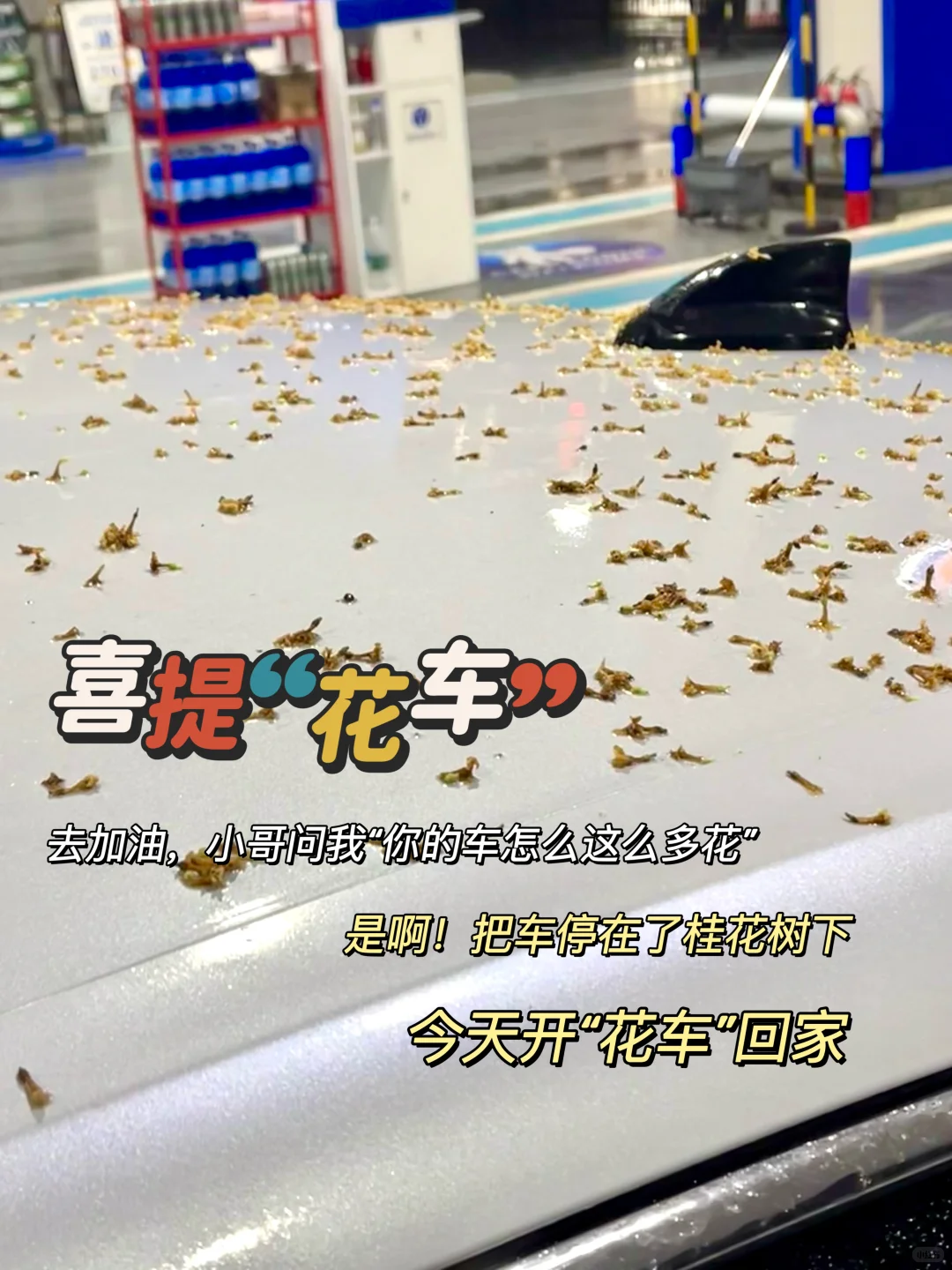 教师日常|ENFP太适合当老师了