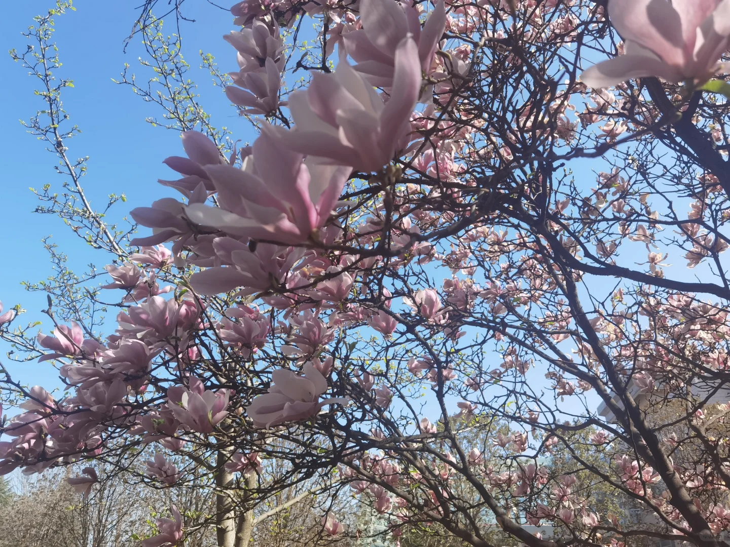 山东泰开变压器待遇如何