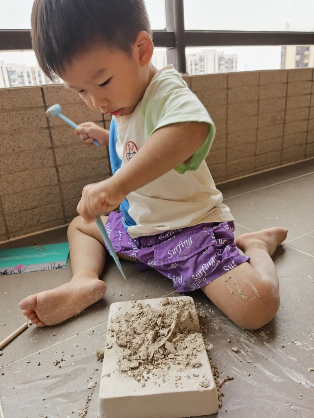 网红恐龙考古玩具买不买?请看这里!