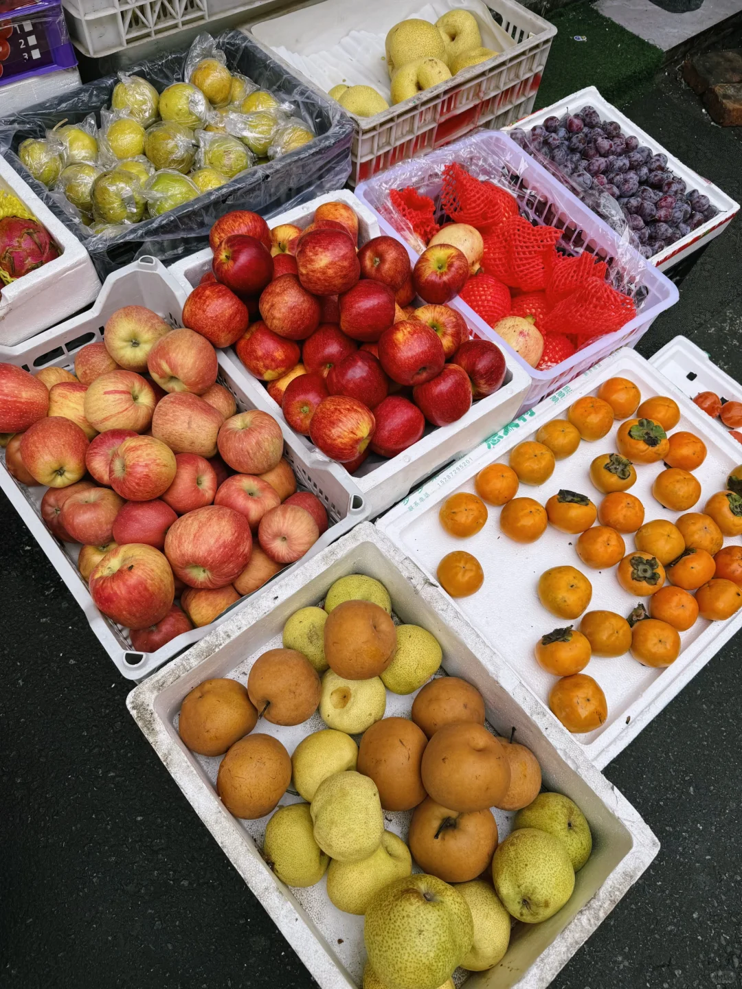 秋天果实累累的生命力！