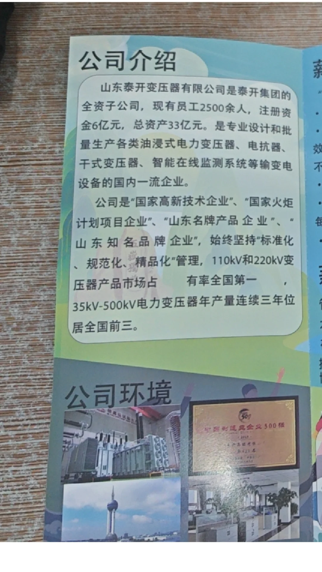 山东泰开变压器有限公司