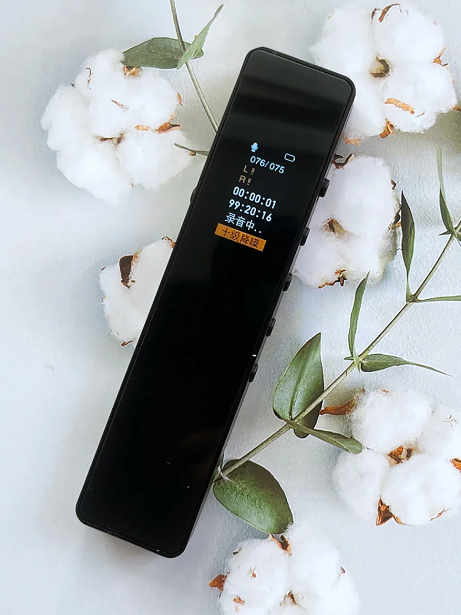 对不起了同事!这录音笔我先用了