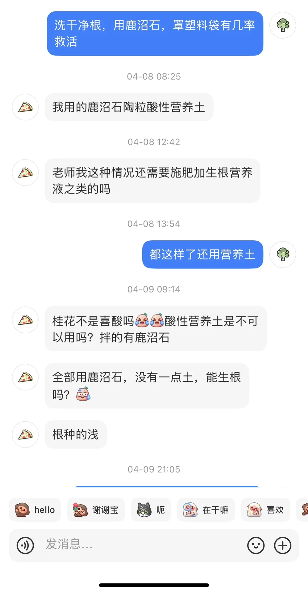 苦口婆心劝说救桂花