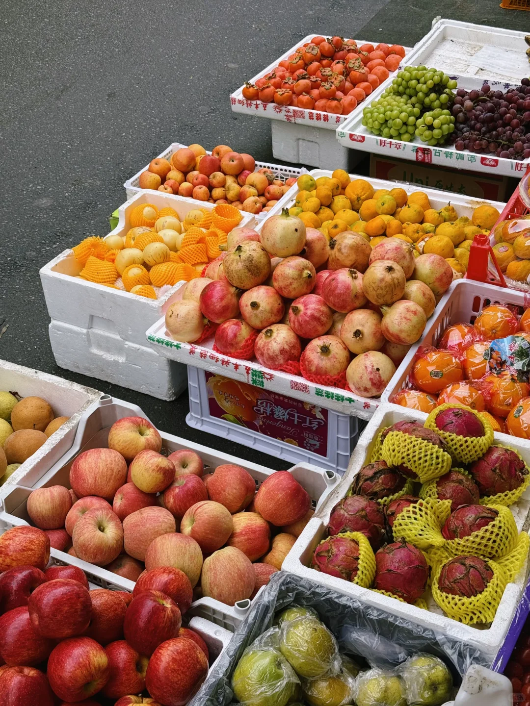 秋天果实累累的生命力！