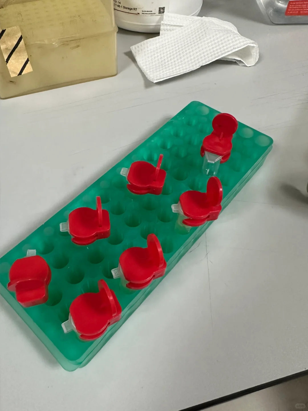 实验室禁止放鞭炮?