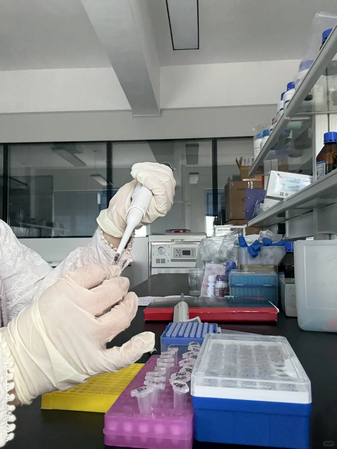 大龙HiPette彩色移液枪 | 精准上样不手抖