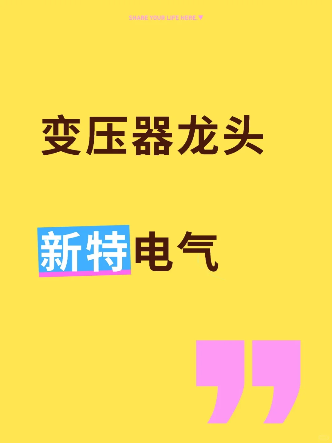 变压器龙头新特电气