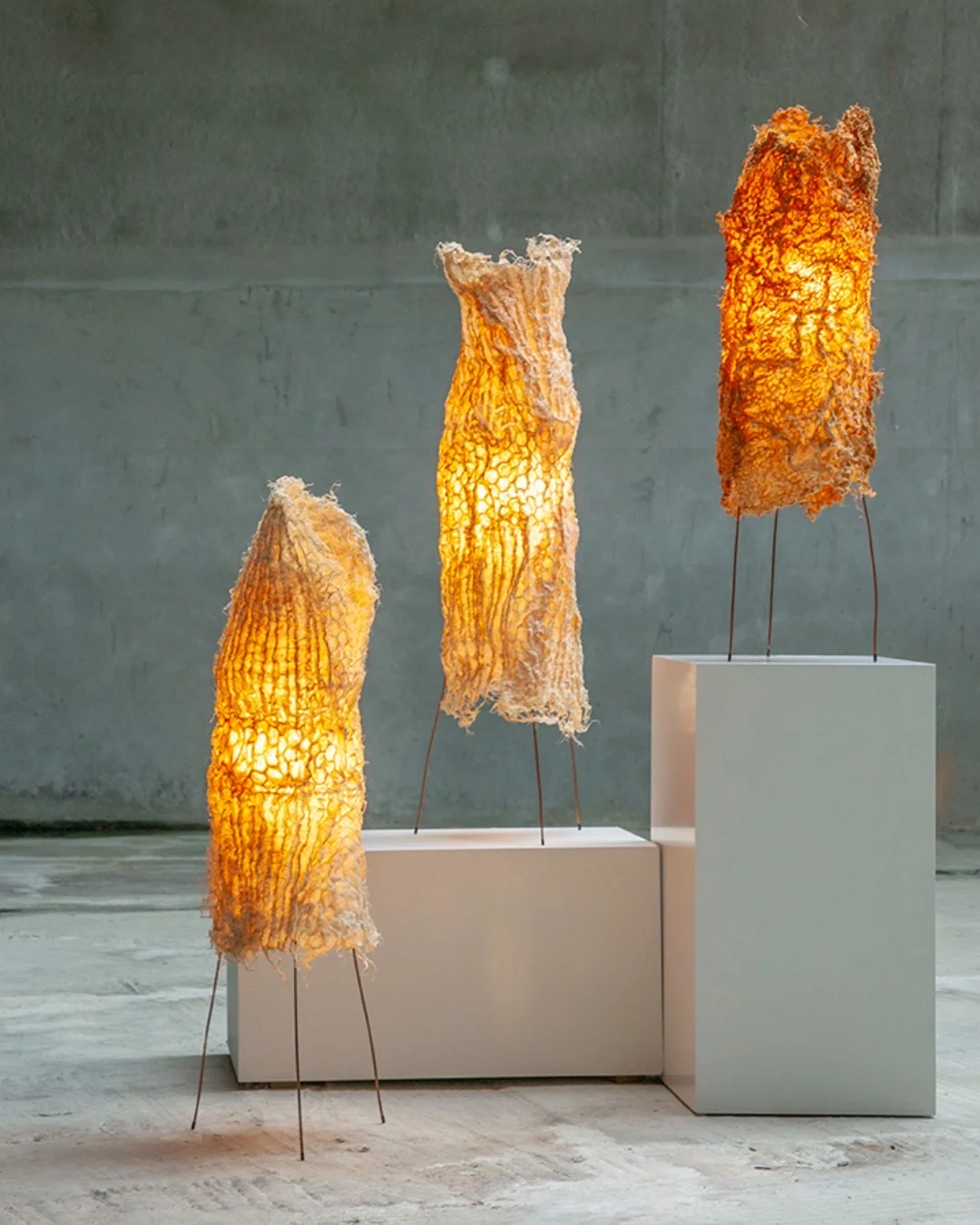 新奇特材料之根部纺织品