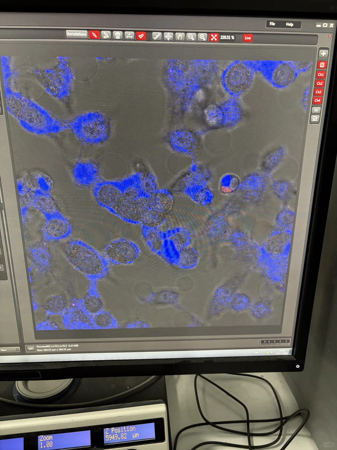 为什么我的DAPI染不上核