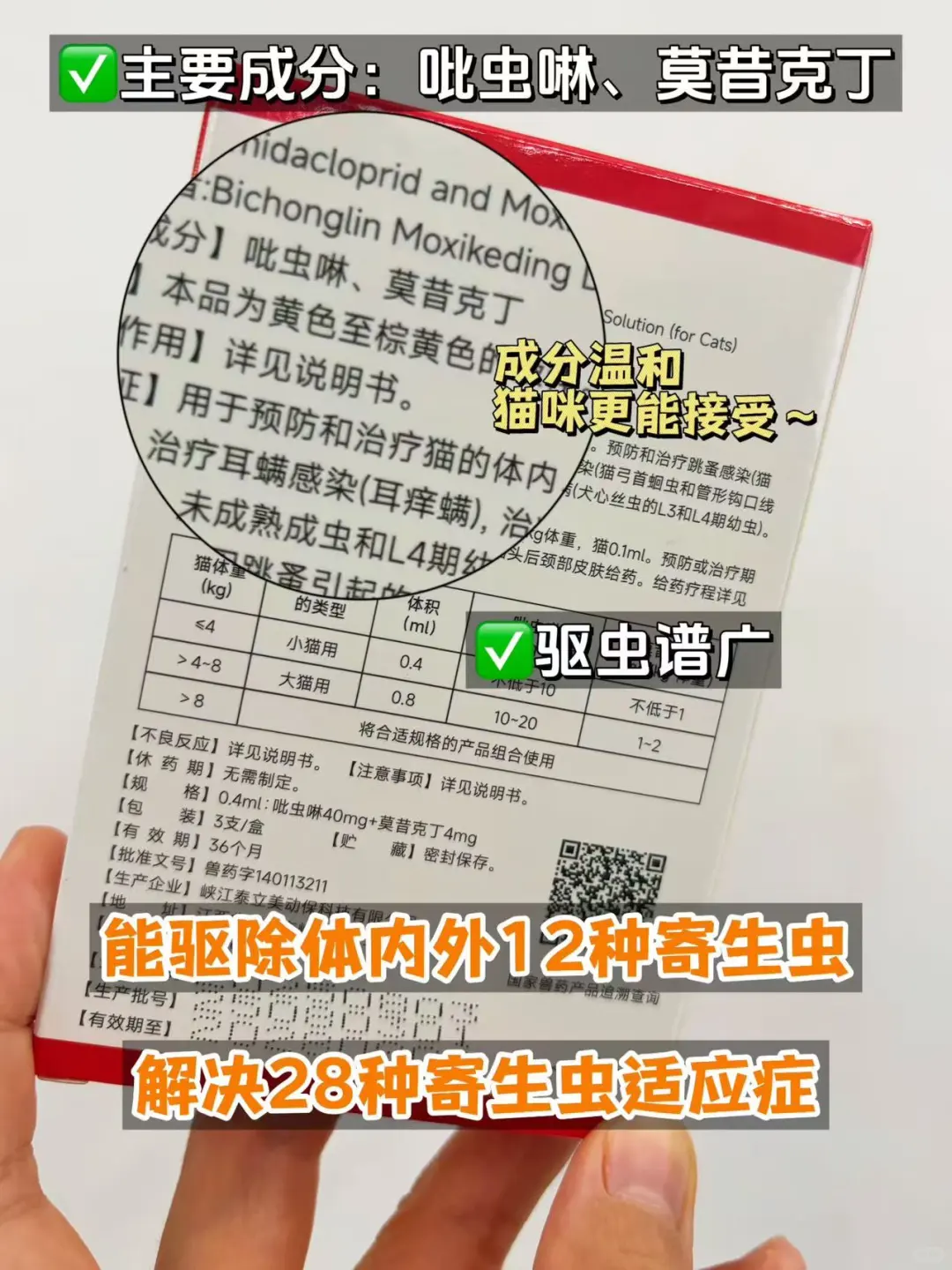 养猫好物|谁说低成本养不好猫的?