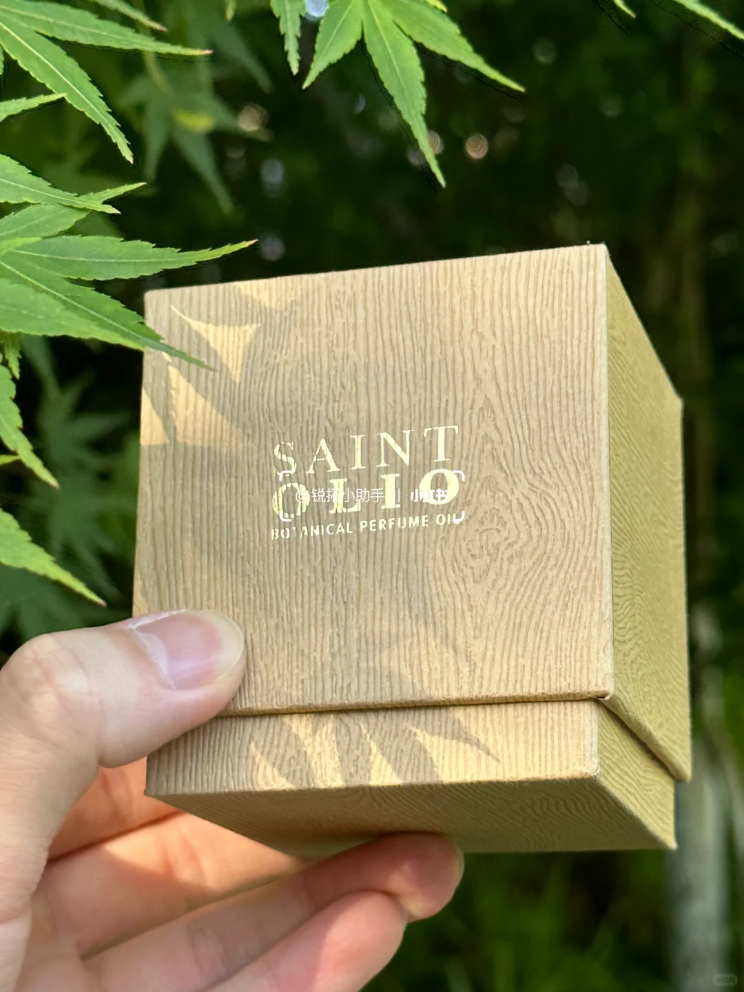 木纹肌理探寻自然奥秘