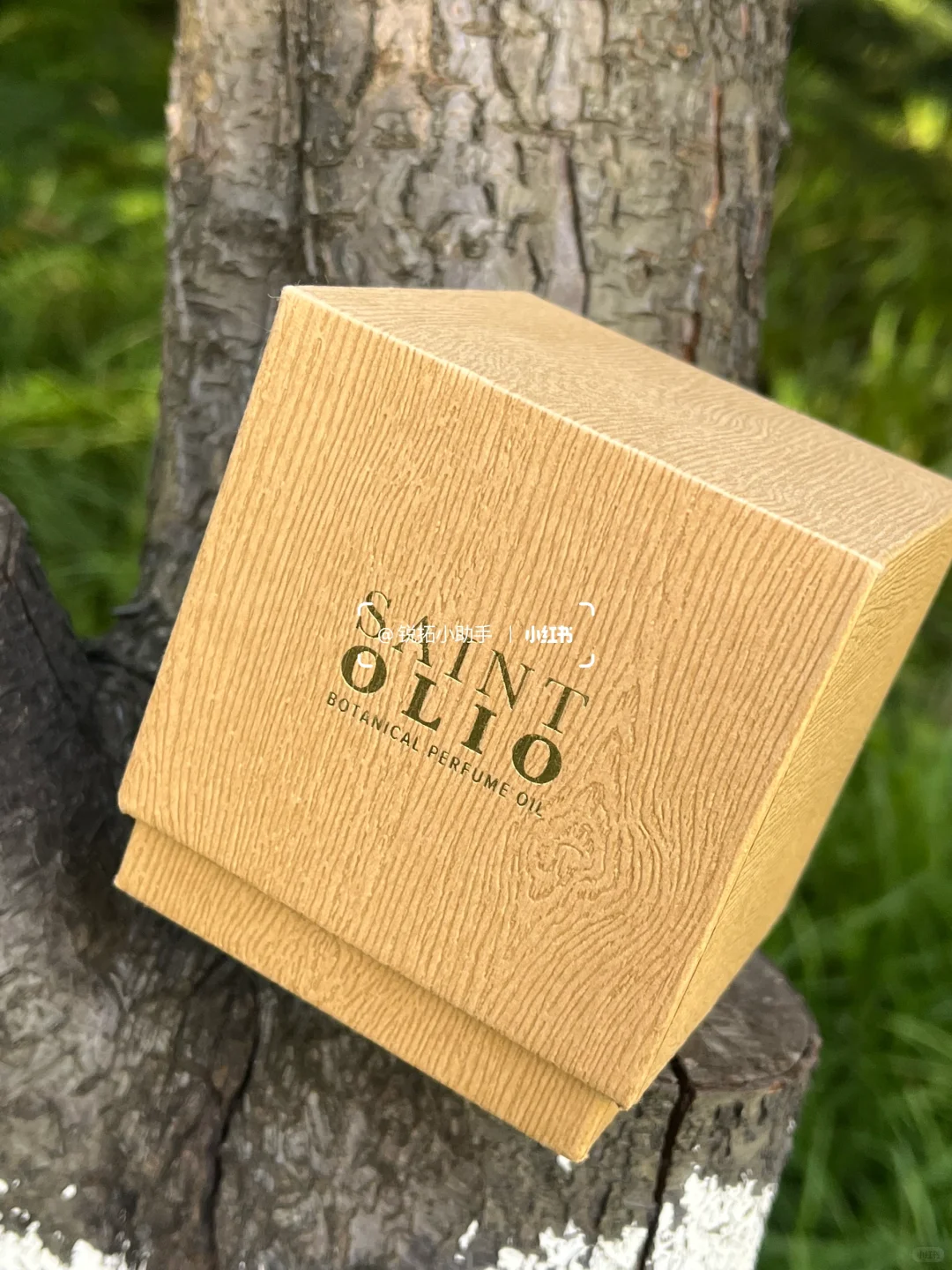 木纹肌理探寻自然奥秘