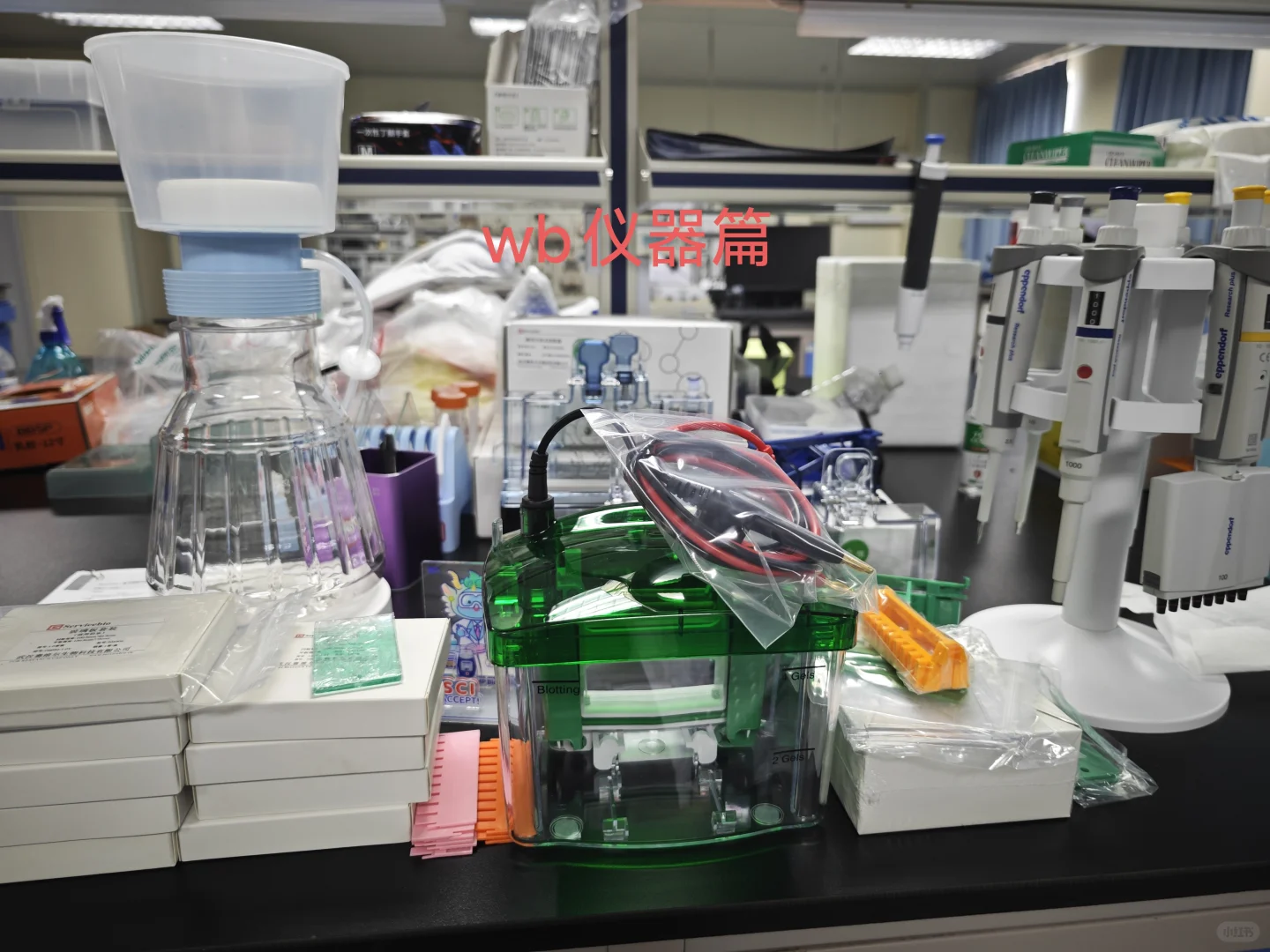 这个本科生自费建的小实验室属于什么水平