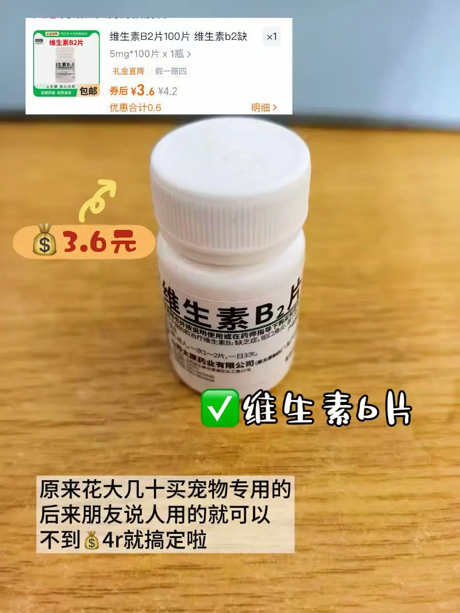 养猫好物|谁说低成本养不好猫的?