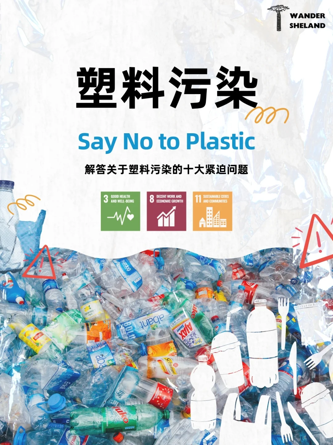世界环境日｜解答关于塑料污染的十大问题?