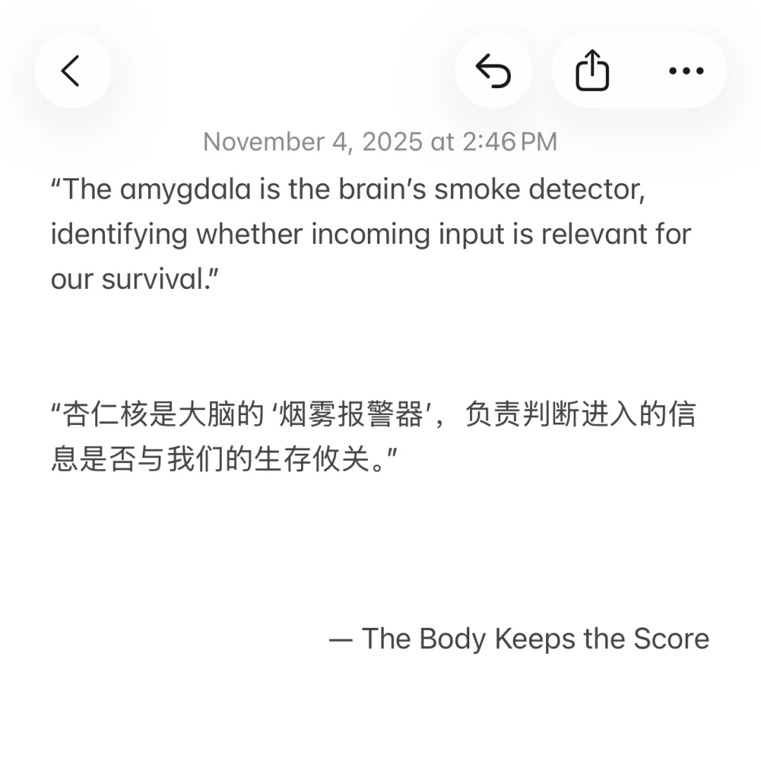 《身体从未忘记》｜“大脑的厨房与烟雾报警器”