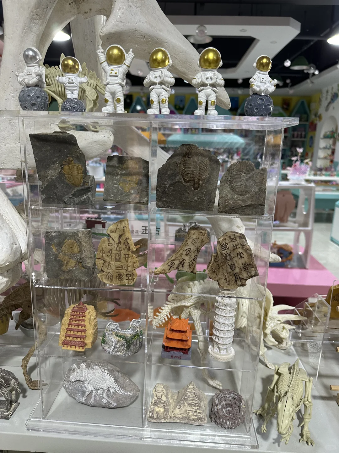 儿童考古项目是什么时候兴起的？