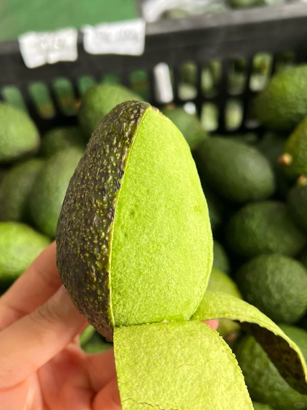 国产牛油果成熟啦!唯一缺点:季节限定!